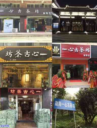 州哪里买茶叶物美价？推荐几家性价比高的店铺！