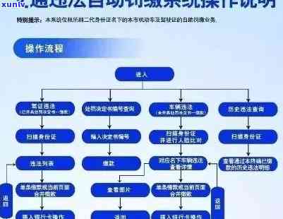 交通罚款逾期去哪里交？详细指南告诉你！