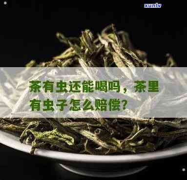 茶叶里有虫还能喝吗？影响口感还是安全问题？