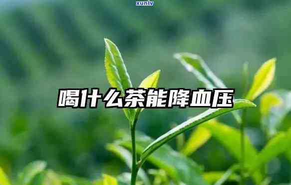 茶叶水降血压吗？如何正确饮用以获得效果？