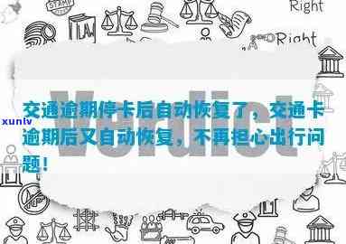 交通逾期停卡后自动恢复了，交通卡逾期被停用，自动恢复全攻略