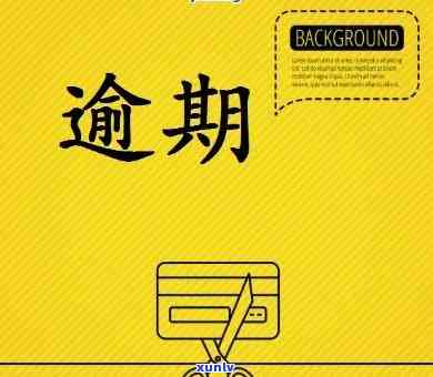 交通逾期后必须全额还款吗，关于交通逾期的疑问：全额还款是不是为必要？