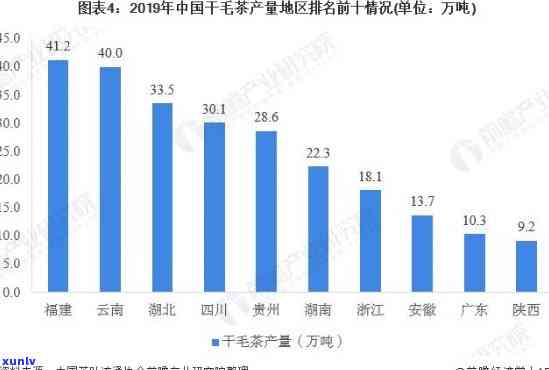 华东地区茶叶：产量与批发商全解析