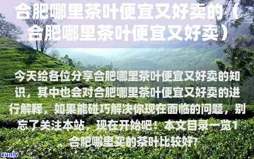 合肥哪里买茶叶便宜，寻找实？合肥哪里买茶叶更便宜？