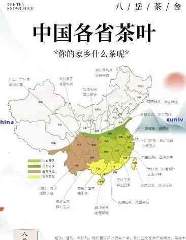 州买茶叶的地方全攻略：哪里有、怎么去？