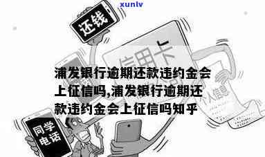 浦发银行逾期还款收取高额违约金和利息是不是合法？会上吗？能否追回损失？