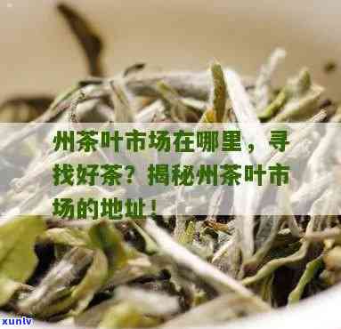 州茶叶更大场在哪里？求进货信息！