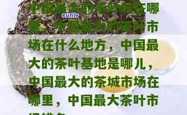 州更大茶叶市场位置查询：在哪里可以找到？