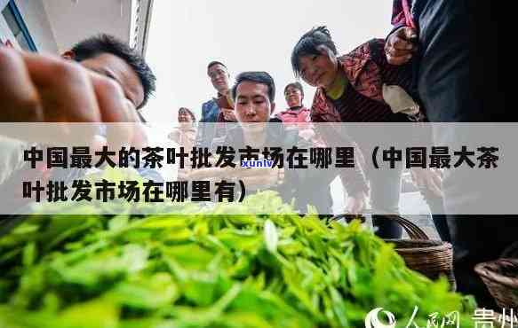 州更大茶叶市场位置查询：在哪里可以找到？