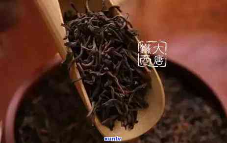 州哪里买茶叶最实？带你寻找性价比更高的茶铺