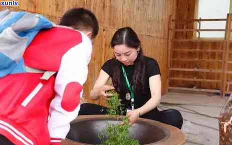 州哪里买茶叶最实？带你寻找性价比更高的茶铺