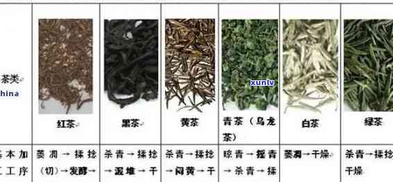 茶叶有哪些名称，探索茶叶：了解其知名及其特色