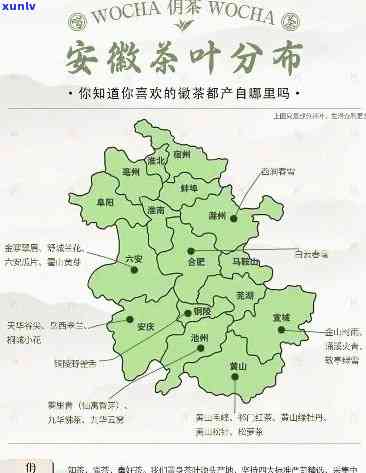 安徽有几个茶叶市场在哪里，安徽茶叶市场大全：位置分布与特色介绍