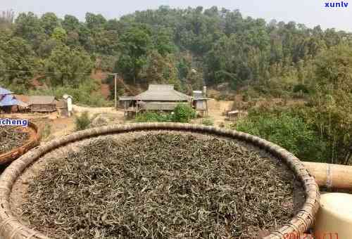 州茶叶场普洱茶厂家： *** 、地址一览