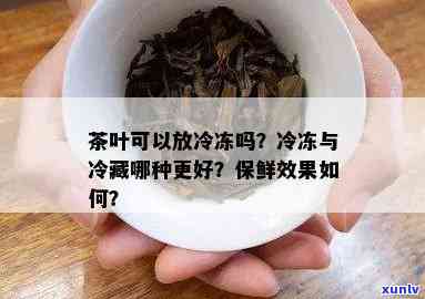 茶叶需要冷冻保存吗-茶叶需要冷冻保存吗?