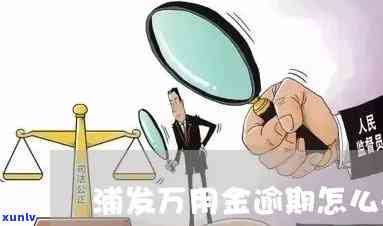 浦发万用金逾期：民事案件还是刑事案件？怎样解决逾期疑问？