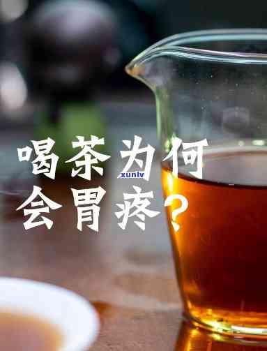 喝了茶叶胃疼：是茶叶问题吗？