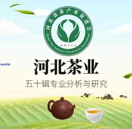 马连道茶叶场最近地铁口在哪？乘坐哪条地铁线可以到达？详细路线指引