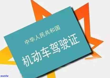 交通安全信息卡逾期解决  全解析