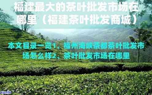 福州市茶叶场有几个，探秘福州：茶叶场有多少个？