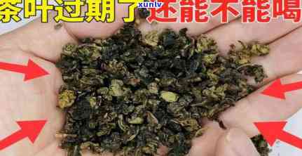 茶叶有过期还能喝吗-茶叶有过期还能喝吗有吗