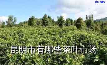 昆明有几个茶叶市场-昆明有几个茶叶市场在哪里