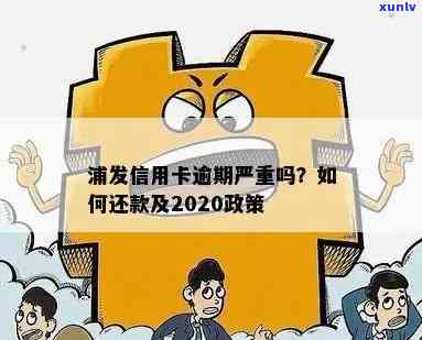 浦发逾期还款新规定-浦发逾期还款新规定是什么