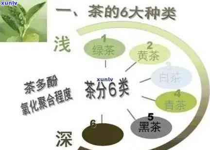 茶叶有抗氧化作用吗，探讨茶叶的抗氧化功效：真的有效吗？