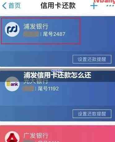 浦发中信全面逾期了怎么还款，信用卡逾期：浦发、中信全面逾期，怎样实施还款？