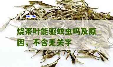 茶叶可以驱蚊虫吗，茶叶的神奇功效：真的能有效驱赶蚊虫吗？