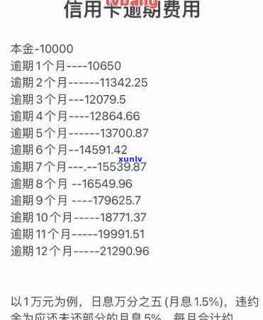 信用卡逾期风险全面解析：如何避免刑事责任，制定还款策略并重建信用