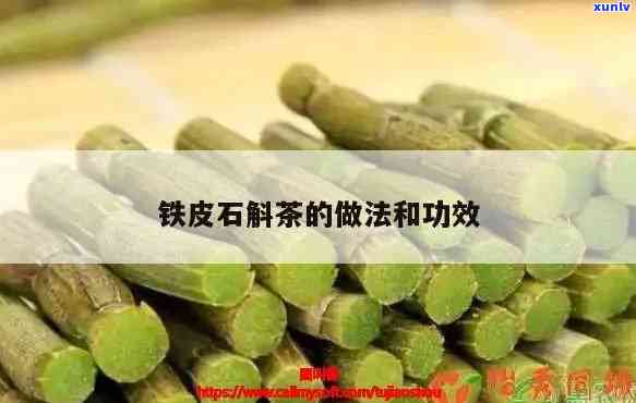 铁皮石斛茶的泡法及用量全解