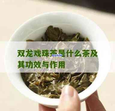 双龙戏珠茶价格是多少？请给出详细回答。