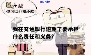 我在交通银行逾期后需承担的责任与义务是什么？