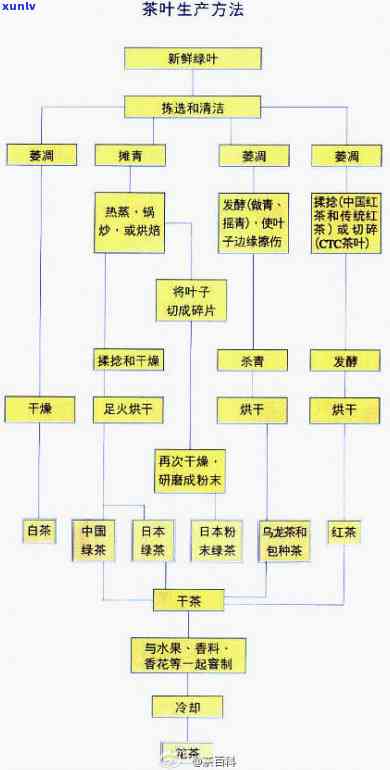 我国茶叶的分类方式是什么？详解各类茶的特点与区别