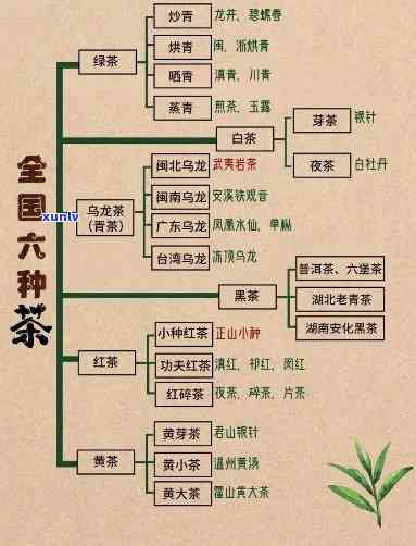 我国茶叶分类包括：绿茶、红茶、乌龙茶等主要品种及其特点与 *** 工艺