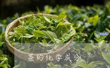 茶叶主要成分化学式-茶叶主要成分化学式是什么