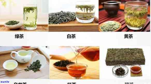 各种茶叶的冲泡方式-各种茶叶的冲泡方式 冲泡时的注意事