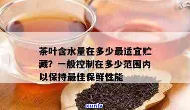 新翡翠龙龟挂件：价值评估与收藏意义深度解析