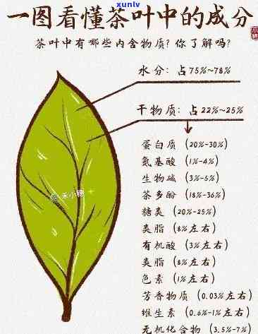 茶叶品质化学结构式解析：含义与关键性