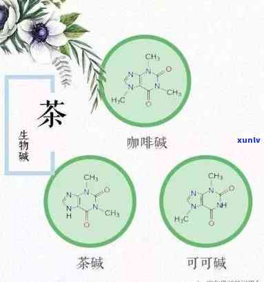 茶叶品质化学结构式解析：含义与重要性