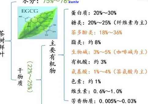 茶叶品质化学结构式解析：含义与重要性