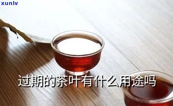 过期的茶叶有什么用途？创意利用 *** 大揭秘！