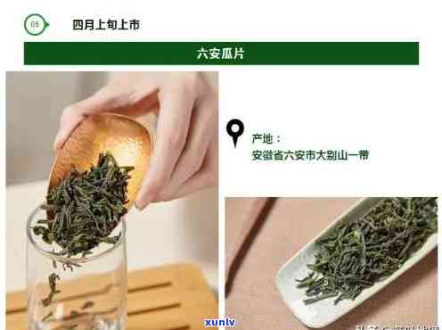 茶叶什么时候上市的？请看详细上市时间表