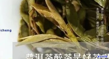 醉茶茶叶平价超市营业时间及怎么样？想加盟吗？