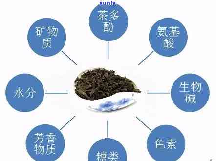 茶叶中含有儿茶酚吗-茶叶中含有儿茶酚吗为什么