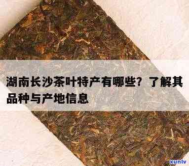 长沙特产茶叶购买推荐：哪里买比较好？