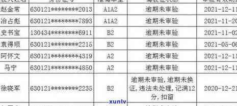 怎样查询交通逾期记录？详细步骤解析