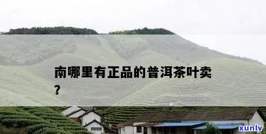 南买茶叶的地方：查询地址及推荐店铺