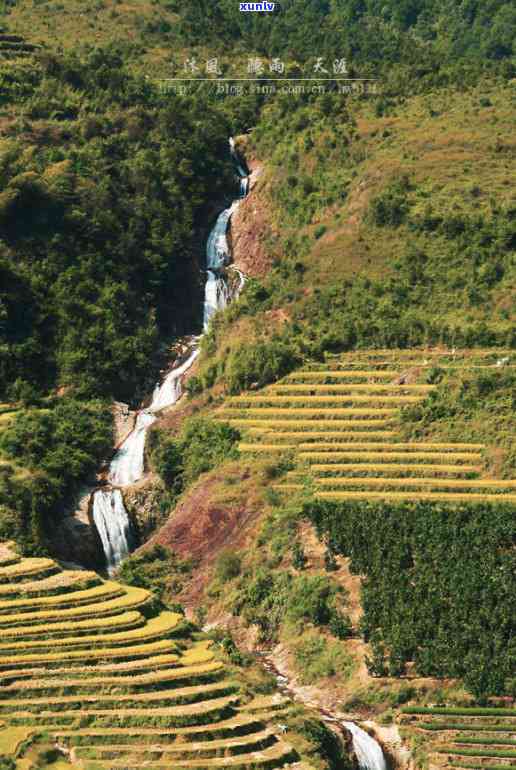 漳州趣活茶叶哪里买-漳州趣活茶叶哪里买的到